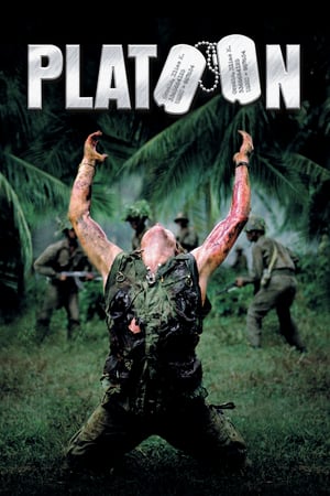 ოცეული  / oceuli  / Platoon