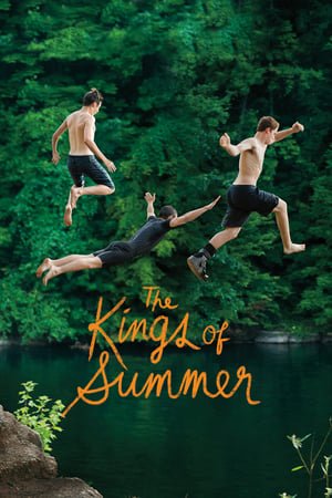 ზაფხულის მეფეები / The Kings of Summer