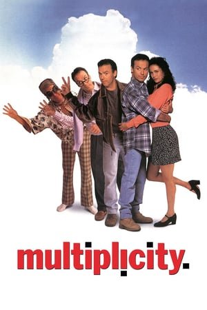 მრავალი / Multiplicity