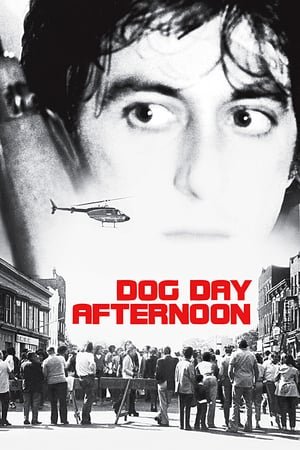 ძაღლური შუადღე | Dog Day Afternoon