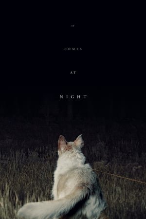 ის მოდის ღამით / It Comes at Night