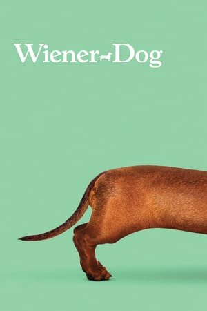 ტაქსა / Wiener-Dog