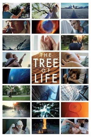 სიცოცხლის ხე / The Tree of Life