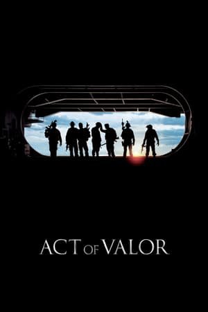 მამაცობის კანონი / Act of Valor