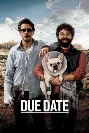 დანიშნული დრო / Due Date