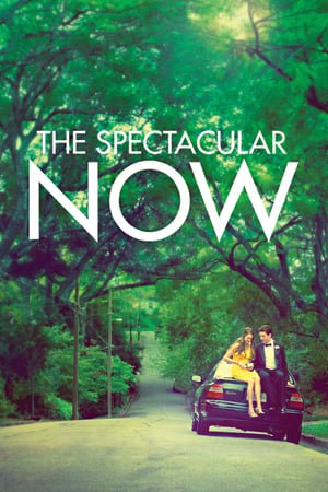 მომნუსხველი წამი  / momnusxveli wami  / The Spectacular Now