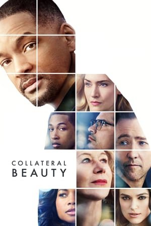 მოჩვენებითი სილამაზე / Collateral Beauty