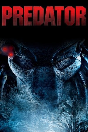 მტაცებელი / Predator