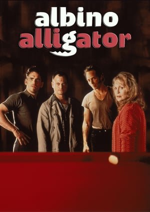 ალბინო ალიგატორი  / albino aligatori  / Albino Alligator