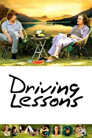 მართვის გაკვეთილები  / Driving Lessons