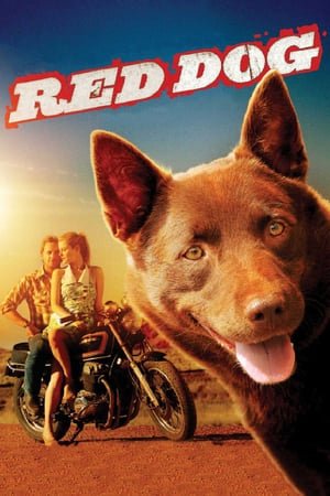 წითელი ძაღლი / Red Dog