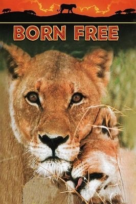 დაბადებული თავისუფლად / Born Free