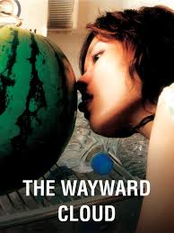 ახირებული ღრუბლები / THE WAYWARD CLOUD