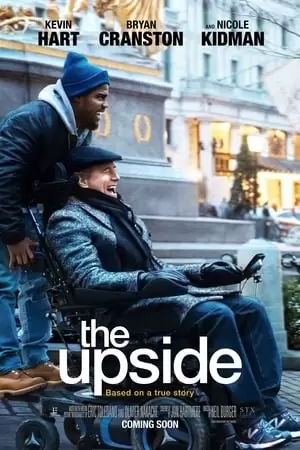 დადებითი მხარე / The Upside