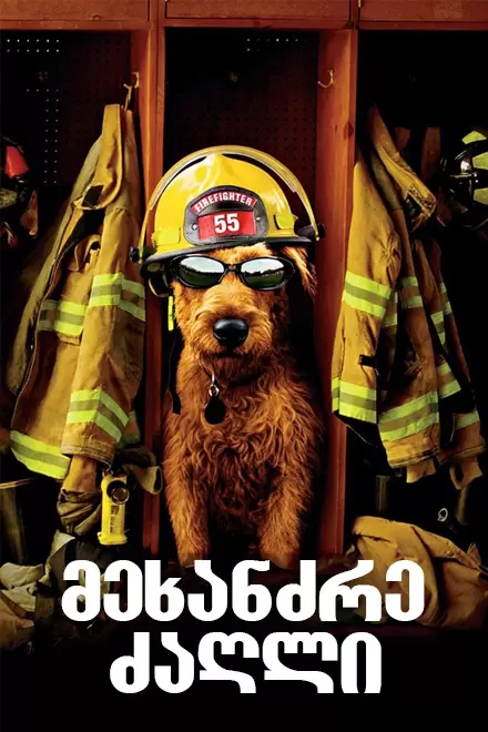 მეხანძრე ძაღლი ქართულად | mexandzre dzagli qartulad | Firehouse Dog