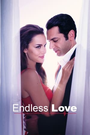 უსასრულო სიყვარული  / usasrulo siyvaruli  / Endless Love (Sonsuz Aşk)