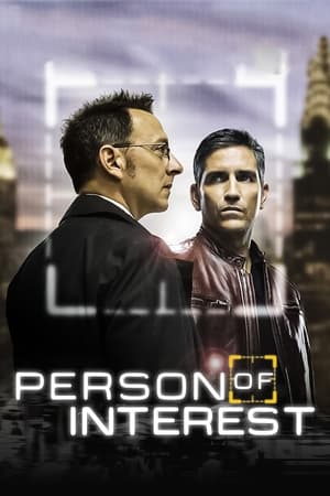 ინტერესის ობიექტი / Person of Interest