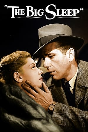 გრძელი სიზმარი  / grdzeli sizmari  / The Big Sleep