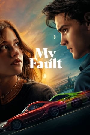 ჩემი ბრალია | My Fault